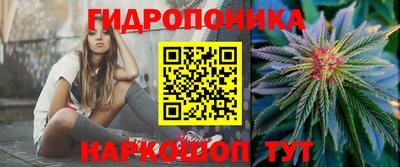 стафф Краснокаменск