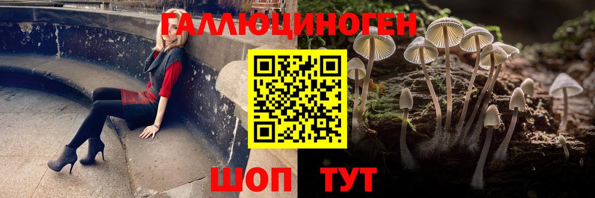 Галлюциногенные грибы Cubensis  Псилоцибиновые грибы мицелий  Казань  Вход с VPN 