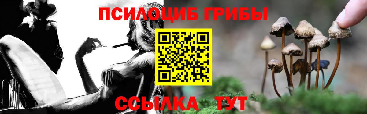 Галлюциногенные грибы прущие грибы Казань